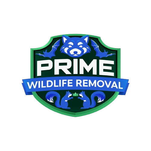 Animal Removal Clay County